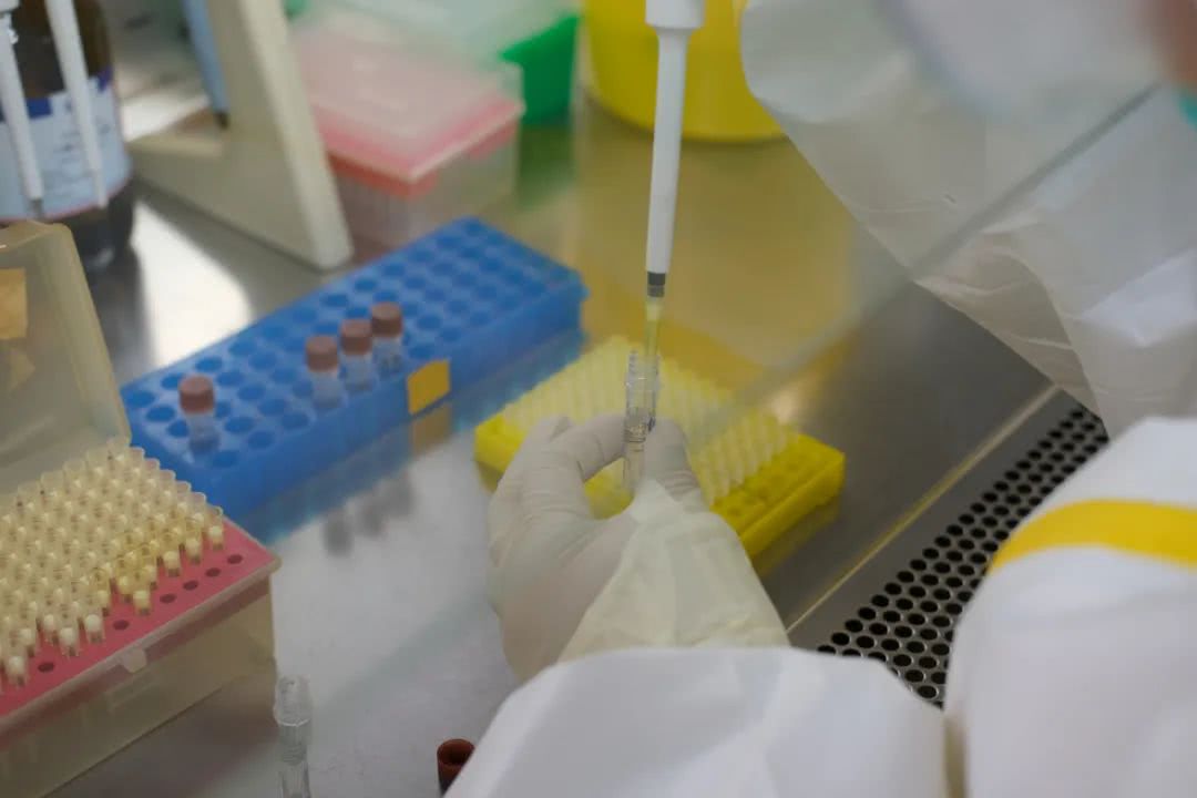 核酸檢測又降價！多地增設(shè)24小時檢測服務(wù)機(jī)構(gòu)